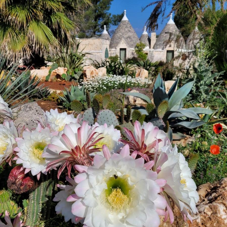 Trullo Bosco Libero Ostuni Villa Exterior foto