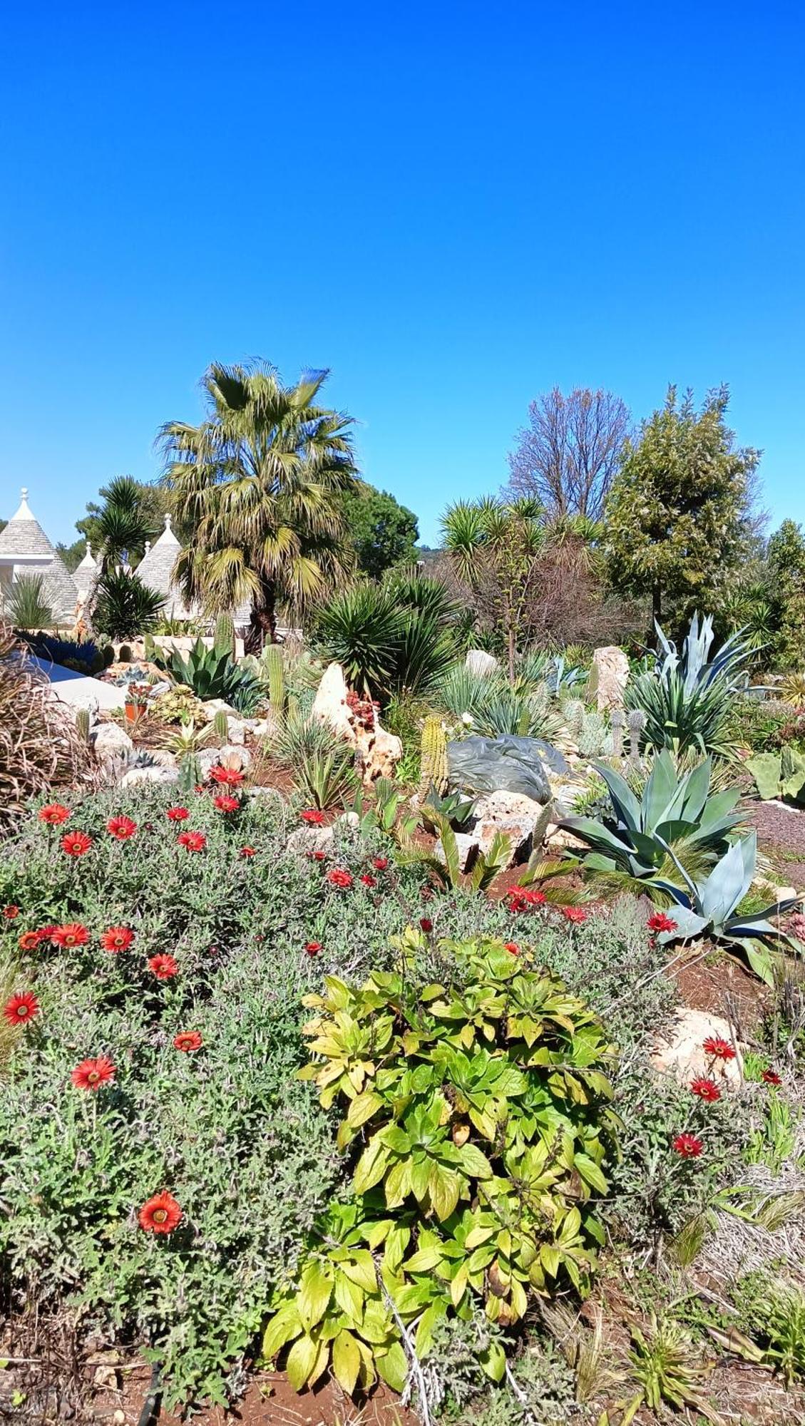 Trullo Bosco Libero Ostuni Villa Exterior foto
